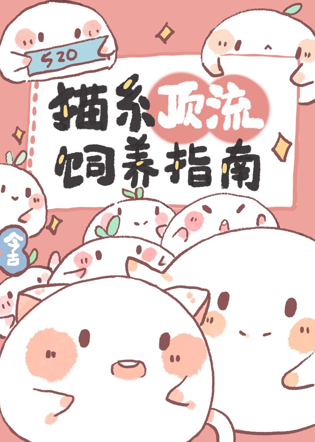 猫系顶流饲养指南